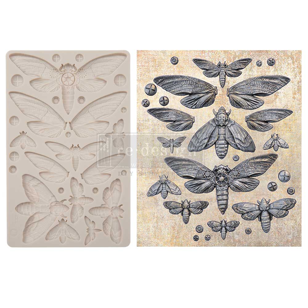 Finnabair Nocturnal Insects