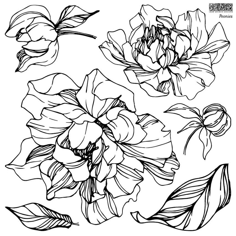 Peonies 12×12 IOD Stamp™