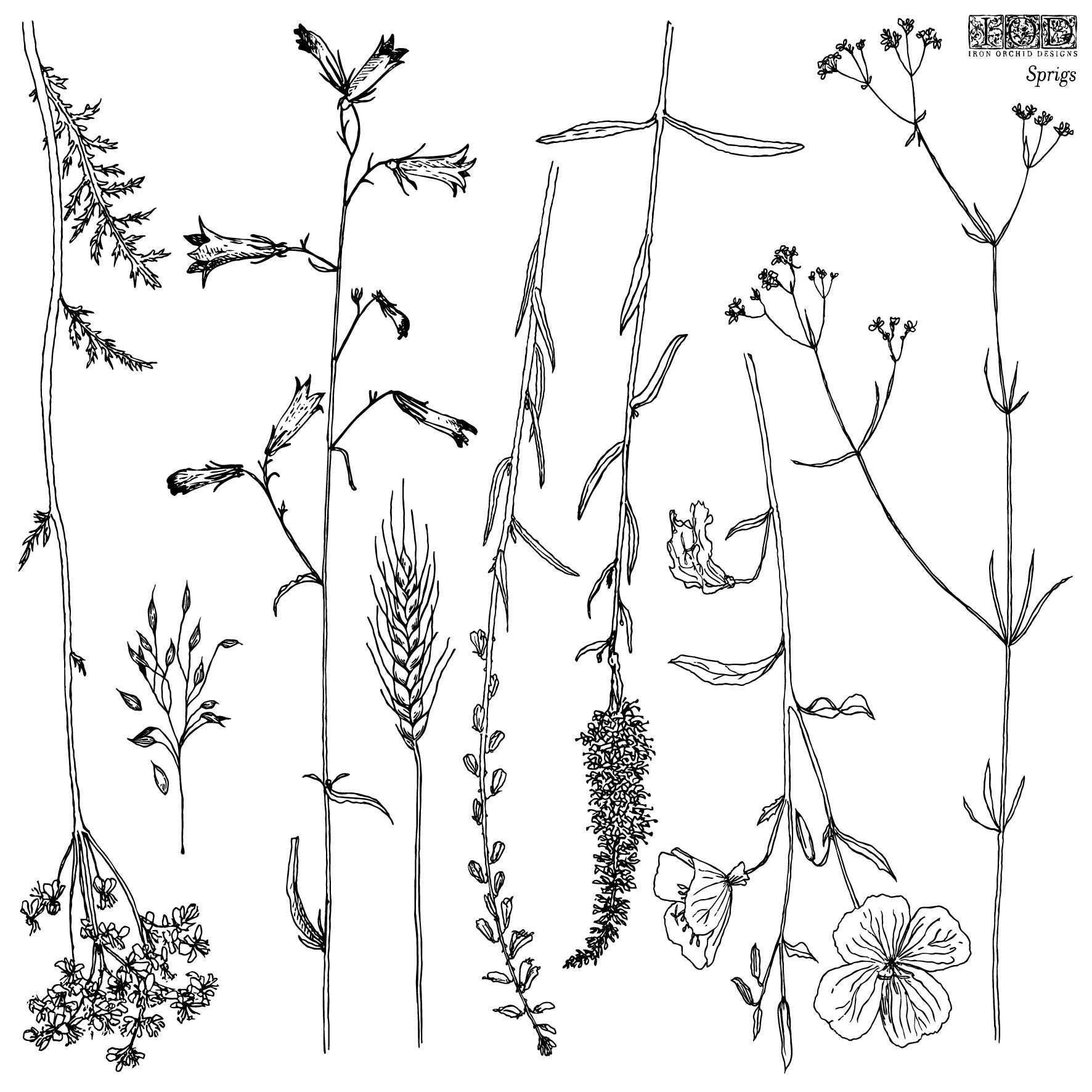 Sprigs 12x12 IOD Stamp™